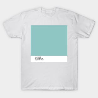 pantone 14-4809 TCX Eggshell Blue T-Shirt